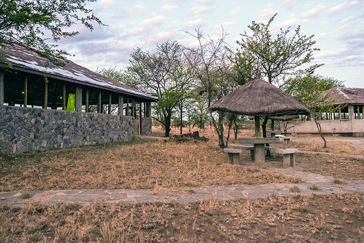 TZA MAR SerengetiNP 2016DEC25 Nguchiro 006
